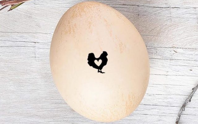 Chicken Side Businesses